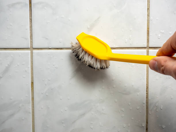 Best Mold Testing and Removal  in Hector, MN