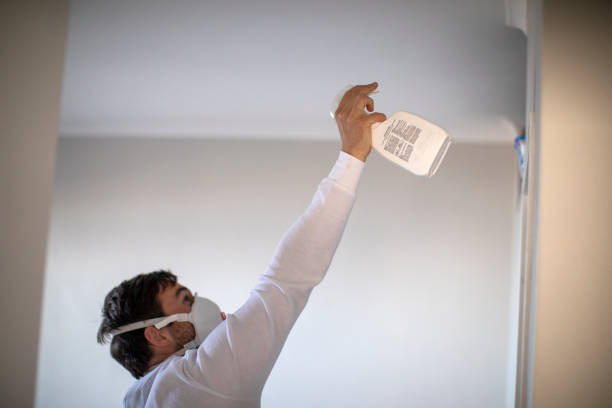 Best Water Damage Restoration  in Hector, MN